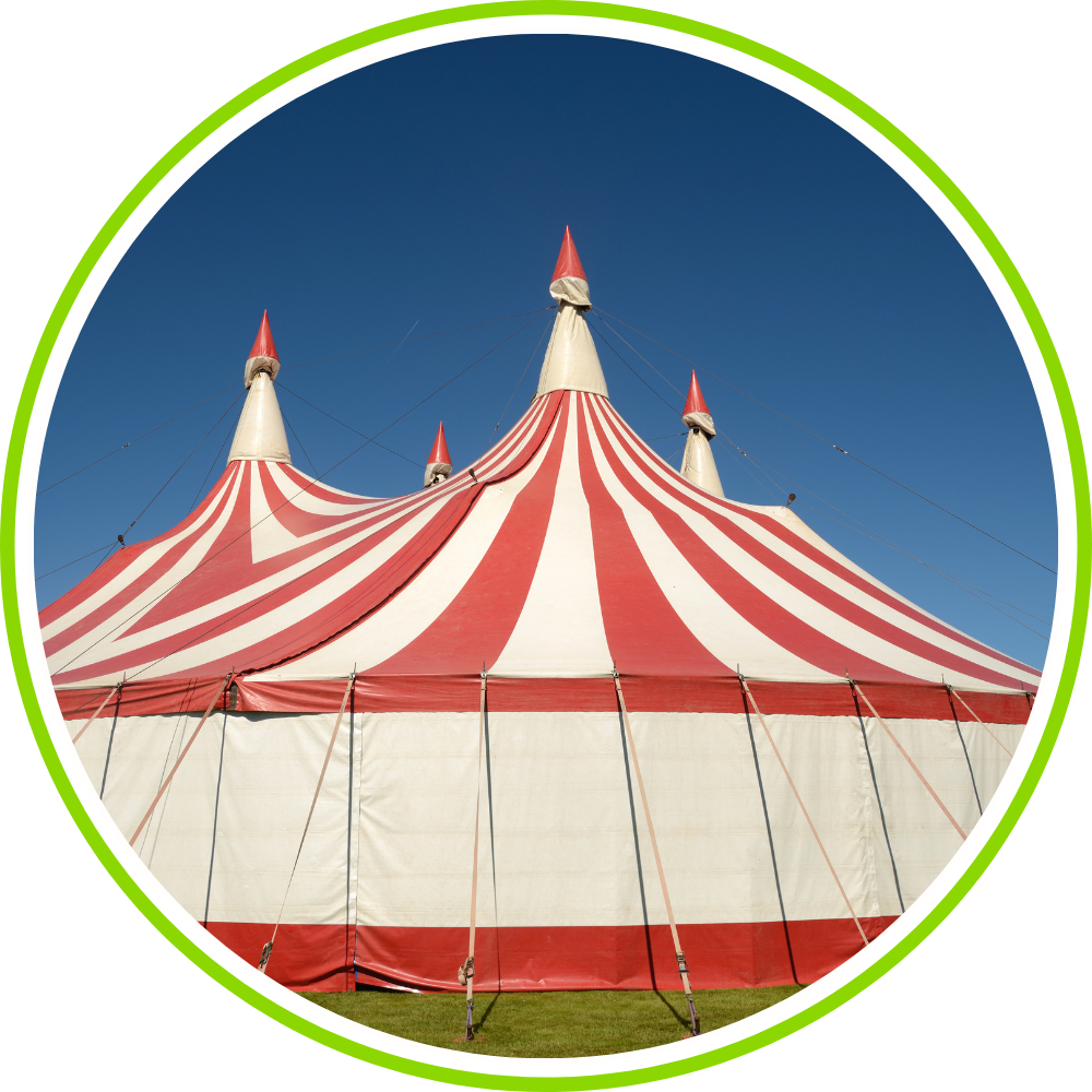 Fun Fairs and Circus
